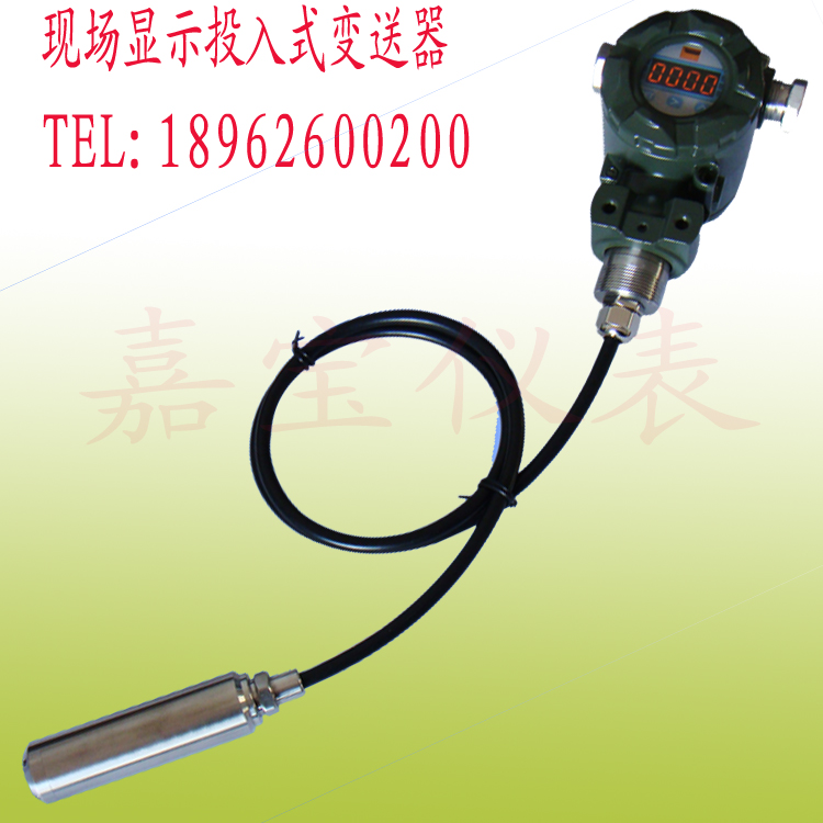 現(xiàn)場(chǎng)顯示分體投入式液位變送器/液位變送器